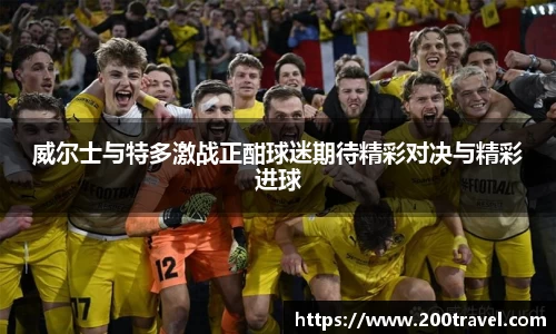 威尔士与特多激战正酣球迷期待精彩对决与精彩进球