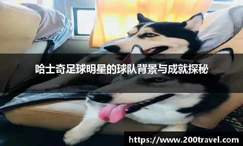 哈士奇足球明星的球队背景与成就探秘